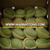 Mango - Origin from Vietnam - Sweet, fresh, fragrant - Best Price - High Quality